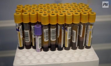 Как павлодарцы могут получить отгул с работы