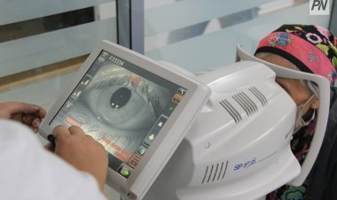 Жалған құжат: 2025 жылдан бастап рұқсат бермеу туралы мәселе көтерілуде