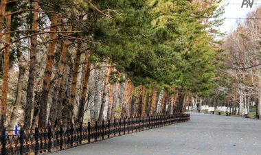 Павлодар шағын ауданында сенбілік жоспарлануда
