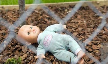 Павлодар облысында өлі табылған сәбиге қатысты тың ақпараттар айтылды