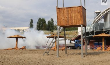 Шыбын-шіркеймен күрес: Павлодар облысында қандай аумақтар өңделеді?