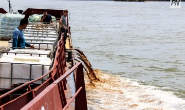 В Павлодар завезли последнюю партию биопрепарата против гнуса