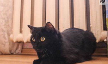 Экибастузцы станут больше платить за тепло