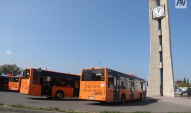 Подсчитан трафик общественного транспорта в Павлодаре