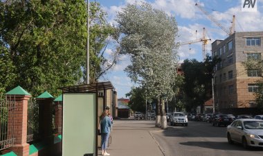 Павлодарда төрт автобус қозғалыс бағытын өзгертті