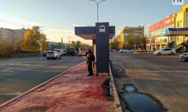 Удовлетворены ли павлодарцы качеством обслуживания в общественном транспорте