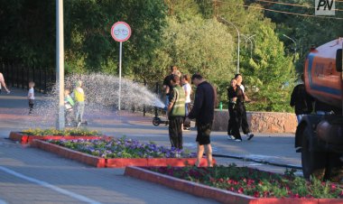 Павлодардың жасыл желегі ерекше бақылауда