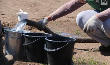 Павлодарда жаз уақытында еңбек ететін оқушылар саны артқан