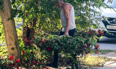 Ақсу өңірінде санитарлық тазалау айлығы жарияланды