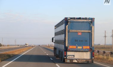 Грузовики смогут выезжать в Россию из Успенки только по онлайн-очереди