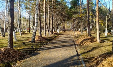 Спортивные школы Павлодарской области поддержали акцию «Таза Қазақстан»