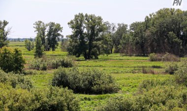 Павлодарлық кәсіпкерлерге жыл басынан 105 жер телімі берілген