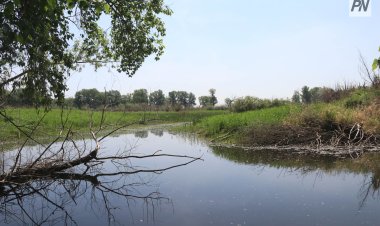 Какие воды пополнят павлодарский Иртыш