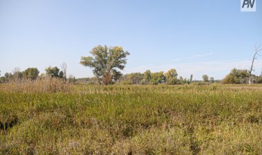 Павлодар облысында бүтін бір мемлекетке тең жер шаруаларға қайтарылды