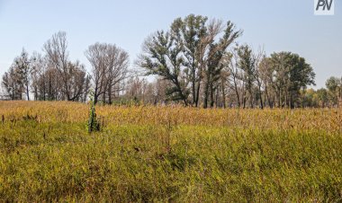 Павлодар облысында игерілмеген жерлер қайта айналымға енгізілуде