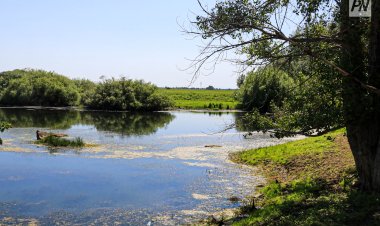 Экологи рассказали, как бороться мусором на берегу Усолки