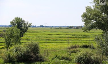 Павлодар облысында кәсіпкерлікке жер телімін алудың қандай жолдары бар?