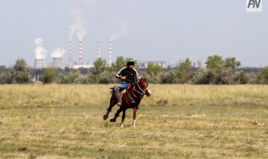 «Ұлы дала жорығы»: Павлодардан Астанаға дейін бәйге-марафон ұйымдастырылады