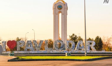 Павлодарские блогеры позитивно ответили на вирусное видео