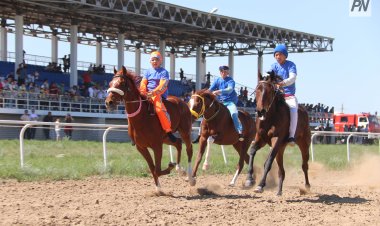 Павлодарда қала күніне орай ұлттық ат спорт турнирі өтеді