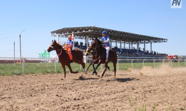 Павлодарда ұлттық ат спорты бойынша стадион салынуда