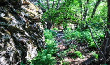 Баянауылда қыз бен оның ағасы тау шатқалынан түсе алмаған