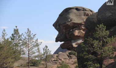 Цифровая археология: как павлодарские учёные сохраняют наследие степей