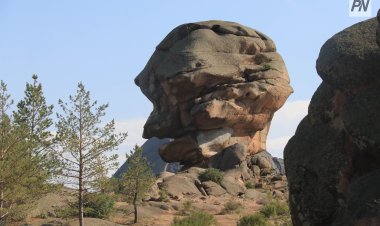 Баянауылдың демалыс аймағында экологиялық сенбіліктер ұйымдастырылады