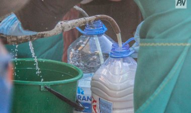 Шарбақтыда ірі тауарлы сүт фермасы салынады