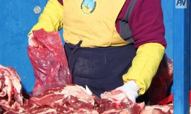 Павлодарда ауыл шаруашылығы жәрмеңкесі өтеді
