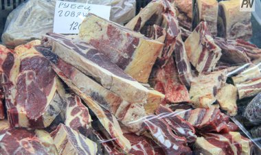 Сенбіде Павлодарда ауыл шаруашылығы жәрмеңкесі өтеді