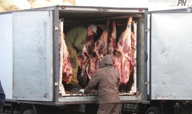 Павлодар облысында бруцеллезбен ауырған малдың еті қайда жіберіледі?