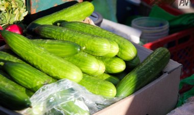 В Павлодарской области стали дешевле огурцы и репчатый лук