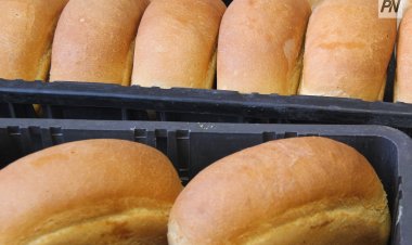 Павлодарда кезекті ауыл шаруашылығы жәрмеңкесінде тауарлар арзан бағамен сатылады