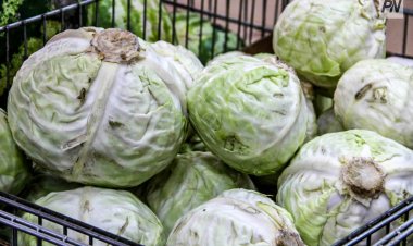 Павлодарда депутаттар дүкендердегі азық-түлік бағасына тексеріс жүргізді