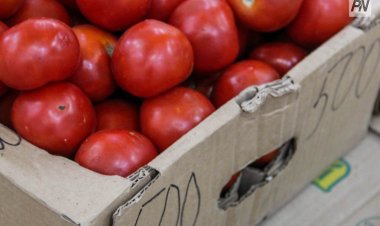 Павлодарда үш ауданның тауар өндірушілері жәрмеңкеге қатысады