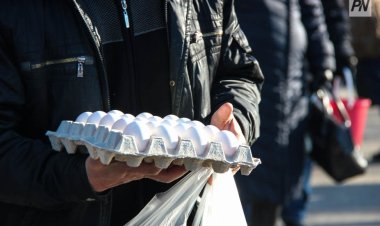 Павлодарцев приглашают на праздничную сельхозярмарку