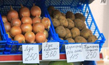 Бағасы жоқ: Павлодарда кәсіпкер жазаланды