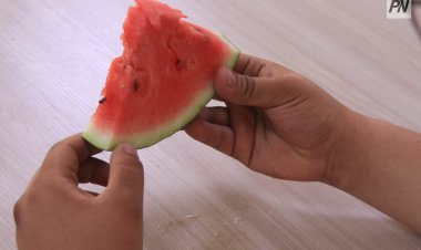 В Минсельхозе рекомендовали не спешить с покупкой арбузов до конца июля