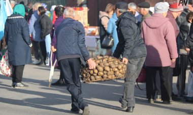 Павлодарда ауылшаруашылық жәрмеңкесі концертпен өтеді