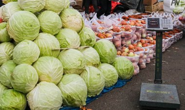 Павлодарда кезекті ауылшаруашылық жәрмеңке өтеді