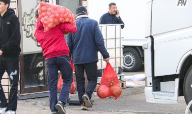 Павлодар облысында балабақшаларға азық-түлікті жоғары бағамен жеткізуге жол берілмеді