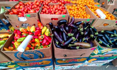 Павлодарда сайлау учаскелерінде ауыл шаруашылығы жәрмеңкесі өтеді