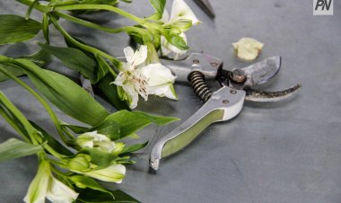 Павлодарлықтарға гүлдерден әсем композиция жасауды үйретеді