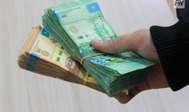 Павлодар обысында волонтерлерге гранттар не үшін беріледі?