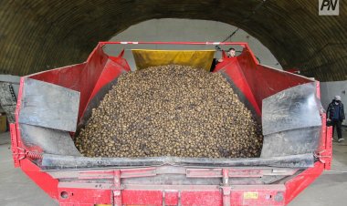 Глава региона рассказал, как спасли урожай в Павлодарской области