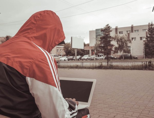 «Выгул собак» оказался приманкой для вербовки в наркобизнес в Павлодаре