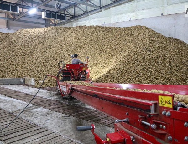 Биыл Павлодар облысында заманауи көкөніс қоймаларының саны артты