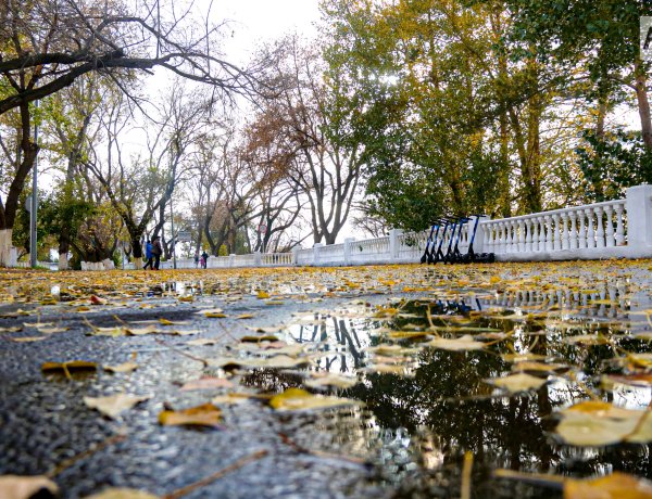 25 қыркүйекте Павлодар облысында өткінші жаңбыр жауады