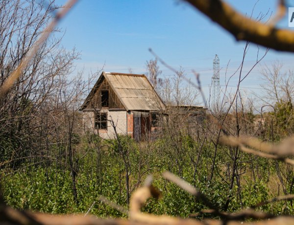 Павлодарда қараусыз қалған саяжай учаскелерін тиімді пайдалану ұсынылды